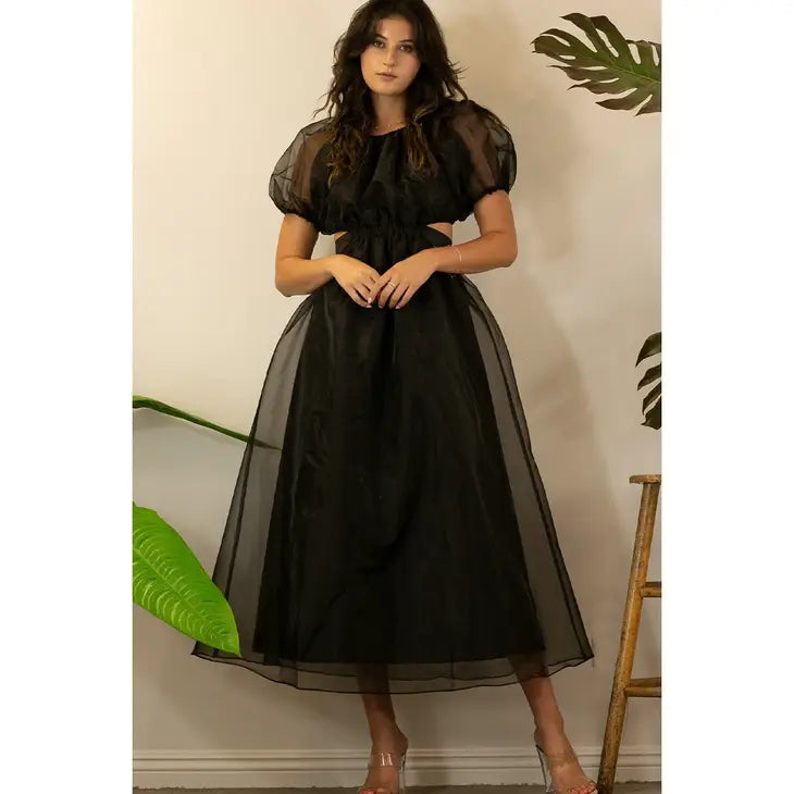 Georgia Organza Black Dress