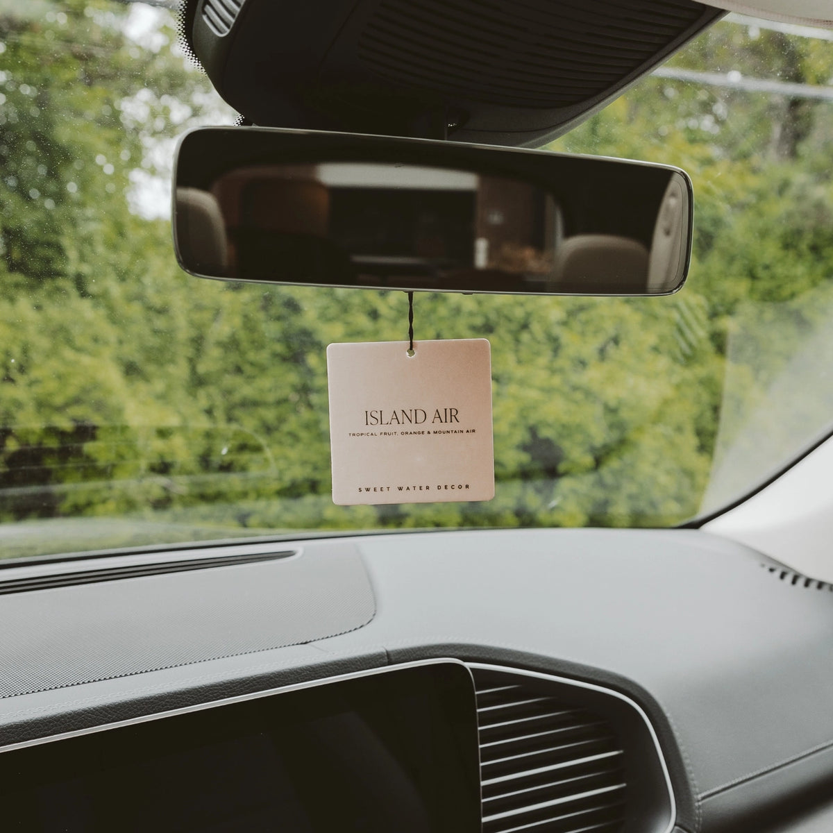 Hanging Air Freshener
