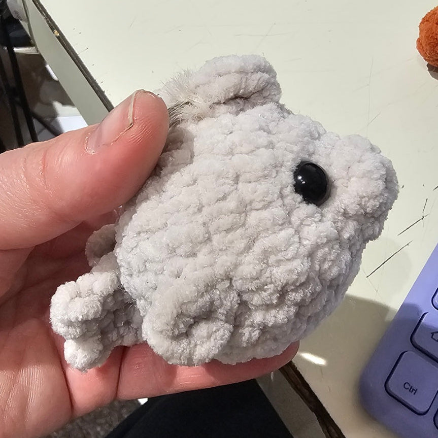 Kailey Crochet